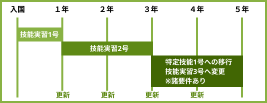 技能実習について